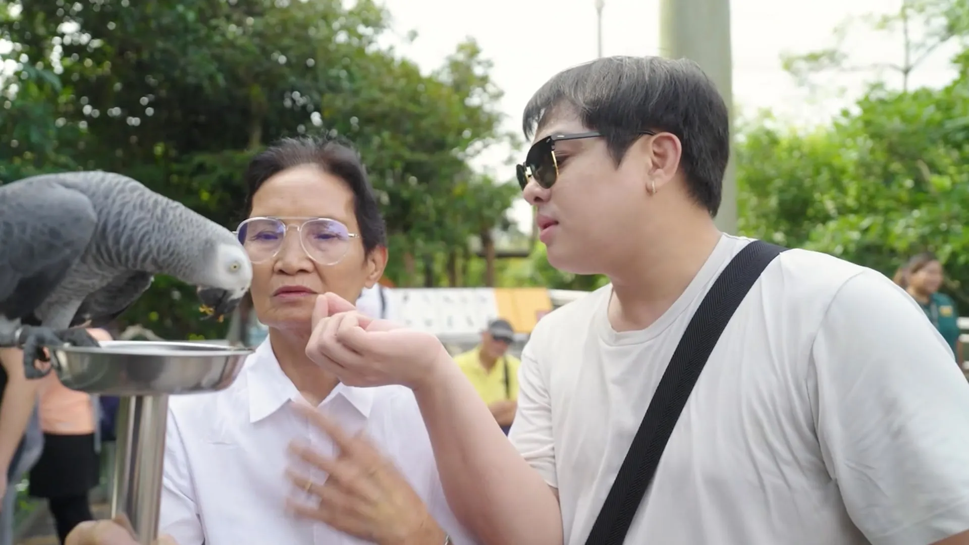 A grandmother and grandson meeting a parrot at a bird park