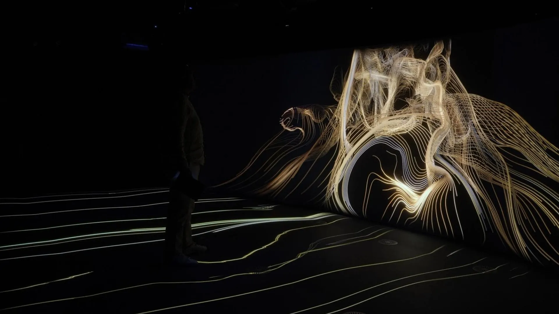 A projected light drawing of an animal on the dark walls of the experience